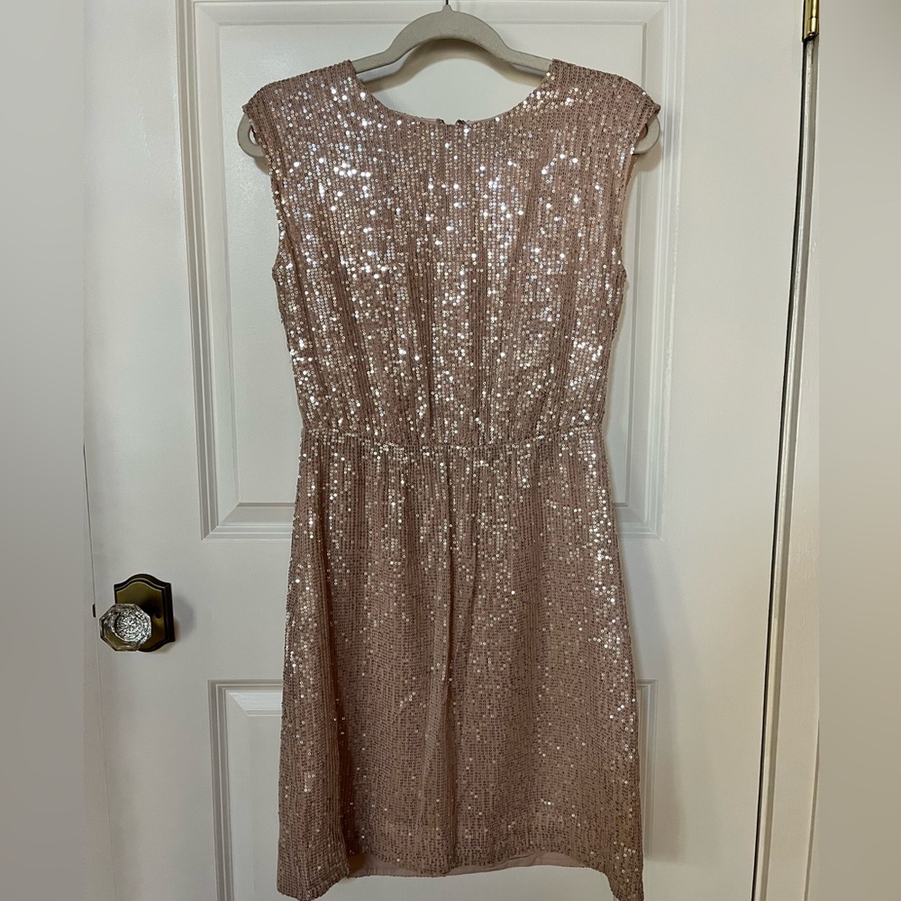 Sparkly pink J. Crew dress